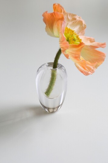Mimou   Munnblåst vase Liv   Transparent