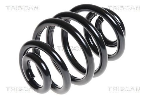 Fjær TRISCAN 8750 11109