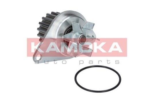 KAMOKA T0089 Vannpumpe KAMOKA T0089 Vannpumpe
