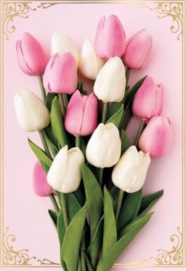 Kukartka Kort Karnett B6 Pp 2142 Blomster Uten Tekst