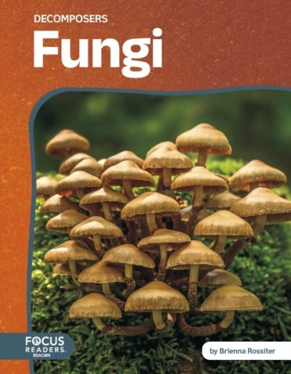 Decomposers: Fungi Decomposers: Fungi