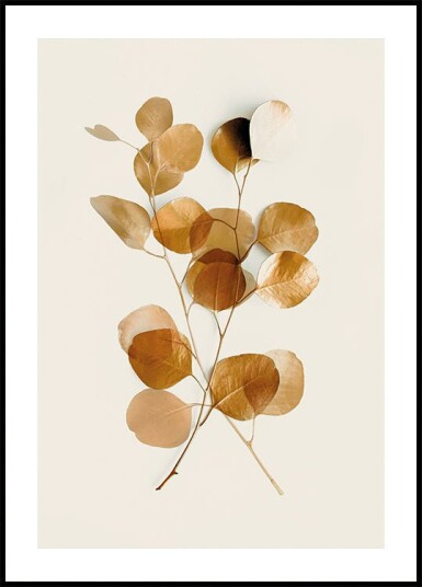 Gold Leaves Eucalyptus №2 Plakat Plakat / 30x40cm