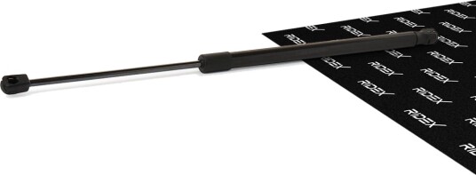 RIDEX 219G0112 Baklukedemper
