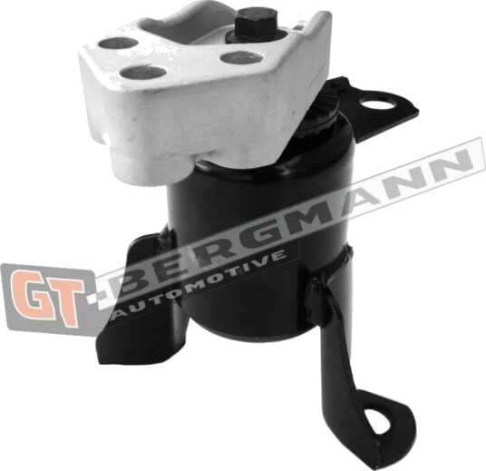 Motorfeste GT-BERGMANN GT25-035
