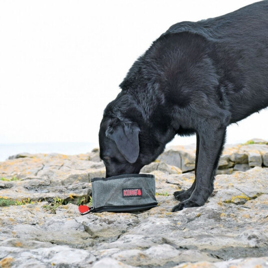 Kong Reseskål Til Hund Sammenbrettbar