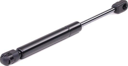 RIDEX 219G0541 Baklukedemper