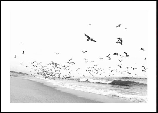 Seascape BW Plakat Plakat / 21x30cm
