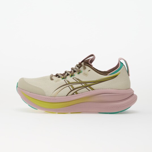 Asics Women"s GEL Nimbus 28 TR Light Dust/Clay Canyon 39