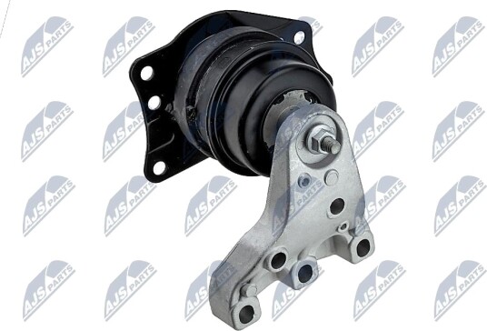Motorfeste NTY ZPS WW 081
