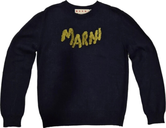 Marni Herre Gensere & Hettegensere Blå S,