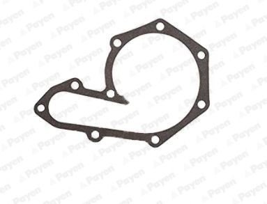 PAYEN KA625 Pakning vannpumpe PAYEN KA625 Pakning vannpumpe