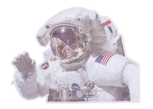Thumbs Up! NASA Ride With Astronaut