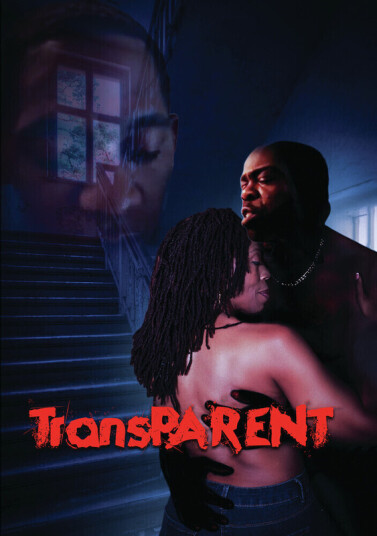 Transparent DVD