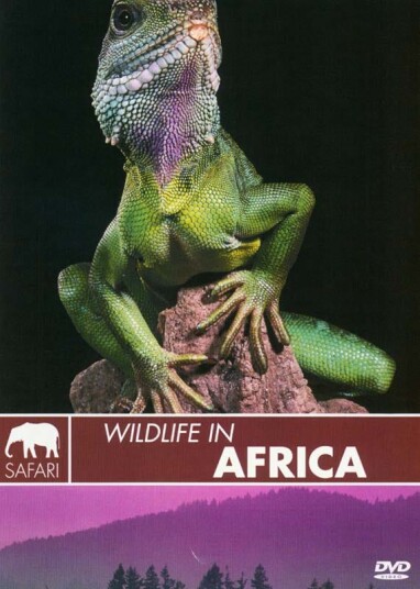 Wildlife In Africa DVD Wildlife In Africa DVD
