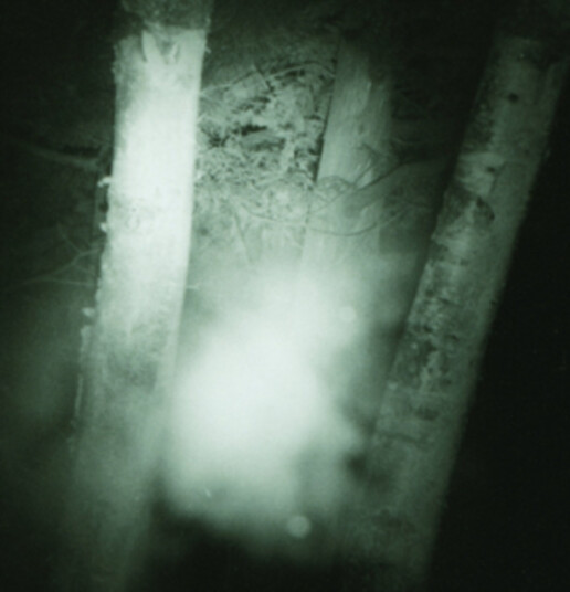 Circle Of Salt  Suffer The Cold  CD