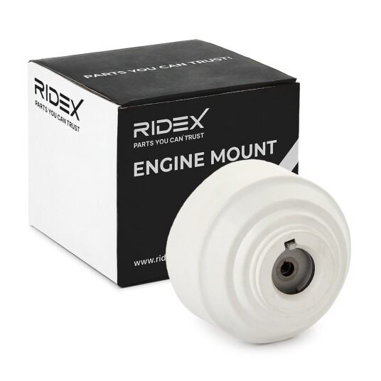 Motorfeste RIDEX 247E0755 Motorfeste RIDEX 247E0755