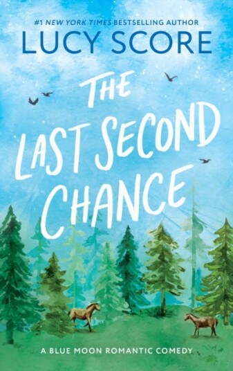 The Last Second Chance A Small Town Enemies to Lovers Romcom The Last Second Chance A Small Town Enemies to Lovers Romcom