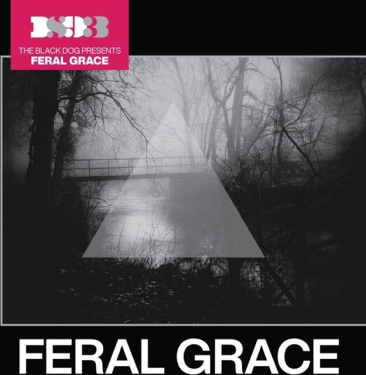 The Black Dog Feral Grace CD