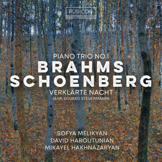 Sofia Melikyan Brahms: Piano Trio No.1 Schoenber Verklarte CD