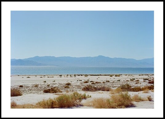 Bombay Beach Spring Plakat Plakat / 50x70cm
