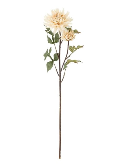 Bloomingville Chrysantemum Stem Cream H80CM