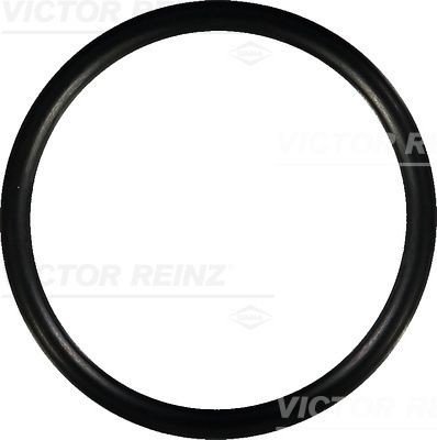 Tetning innsugningsmanifold REINZ 40 76752 00