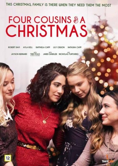Four Cousins And A Christmas DVD