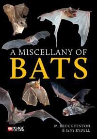 A Miscellany Of Bats Av M. Brock Fenton, Jens Rydell