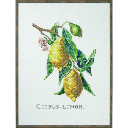 Permin Broderisett Citrus Sitron 29x39cm