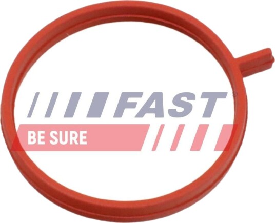 Tetningsring, laseluftslange FAST FT48963