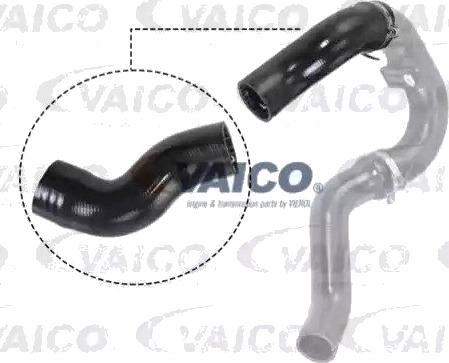 VAICO V24 0721 Ladeluftslange