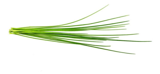 Click and Grow Smart Garden Refill 3-pack Chives SGR38X3 Click and Grow Smart Garden Refill 3-pack Chives SGR38X3
