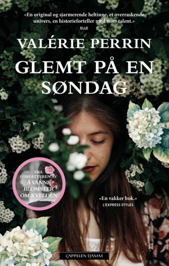 Glemt på en søndag av Valérie Perrin - Roman fra Cappelen Damm