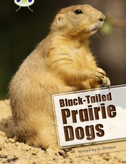 Bug Club Independent Non Fiction Year Two White B Blacktailed Prairie Dogs Bug Club Independent Non Fiction Year Two White B Blacktailed Prairie Dogs