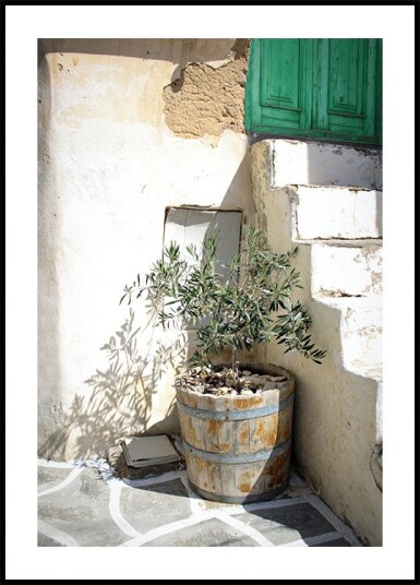 Mediterranean Olive Tree Entrance Plakat Plakat / 100x150cm