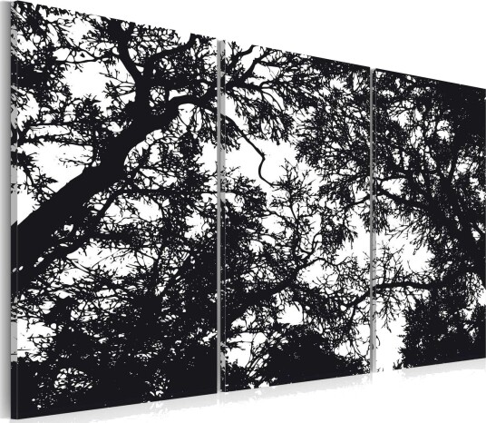 Bilde Tett Skog 120x80 Artgeist sp. z o. o.