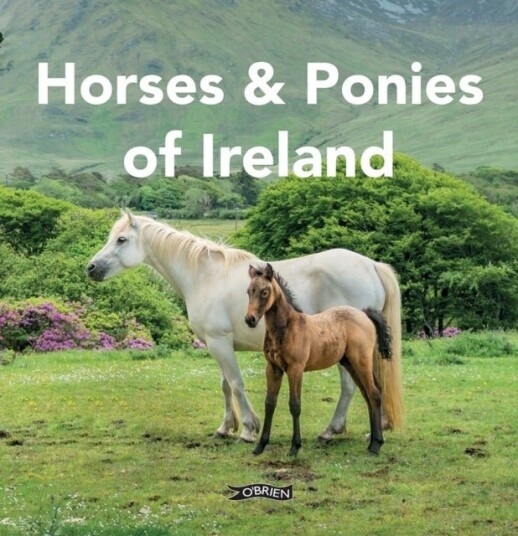 Horses and Ponies of Ireland Horses and Ponies of Ireland