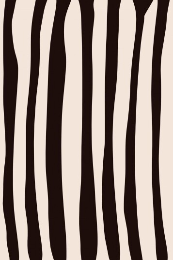 Plakat Zebra Stripes