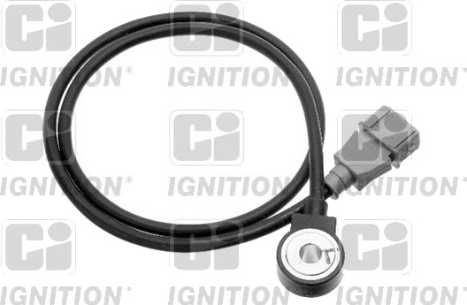 Bankesensor QUINTON HAZELL XKS13