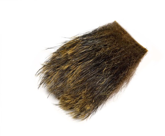 Frodin Flies Wild Boar Feelers