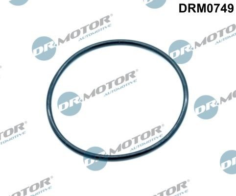 Tetning innsugningsmanifold Dr.Motor Automotive DRM0749