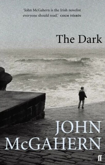 The Dark Av John Mcgahern