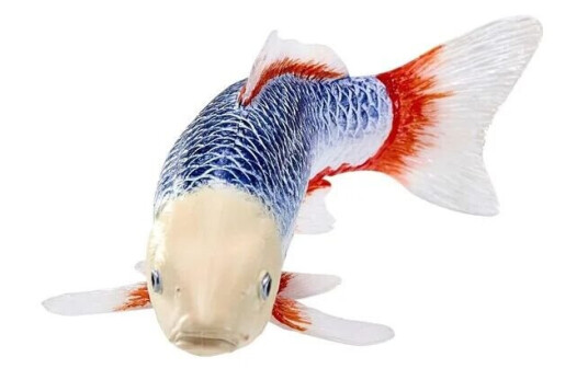 Mojo Sealife Koi Carp Asagi Koi