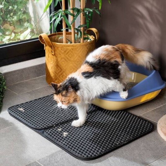Innovagoods Smart Gulvmatte Til Kattedo Og Katteluke