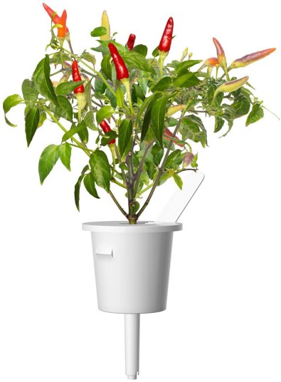 Click & Grow Smart Garden refill Red Hot Chili Pepper 3pcs