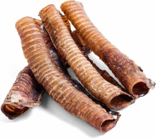 Arami Hel Bøff Trachea Arami Hel Bøff Trachea