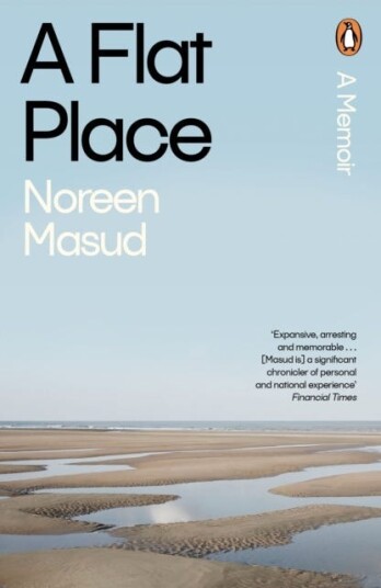 A Flat Place Av Noreen Masud