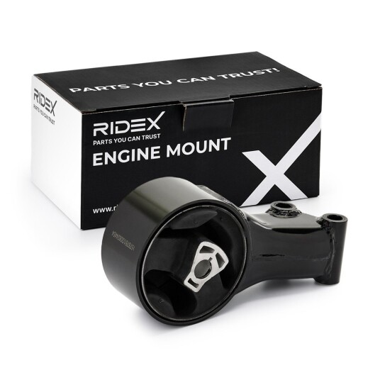 Motorfeste RIDEX 247E1140