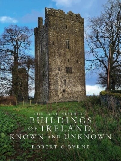 The Irish Aesthete: Buildings of Ireland Known and Unknown
