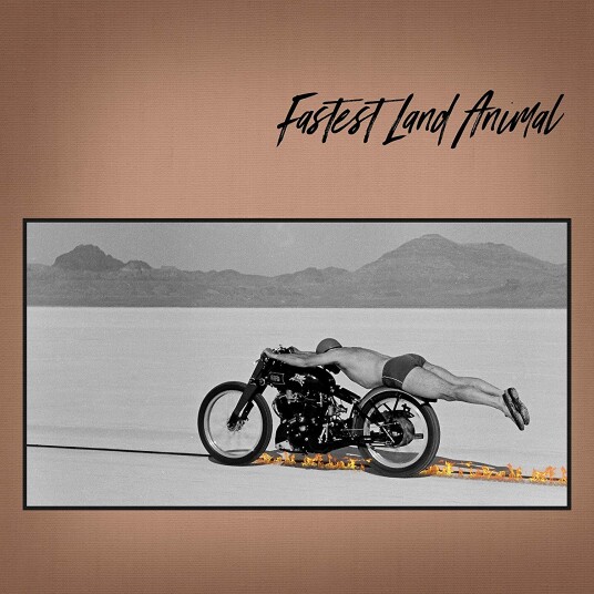 Fastest Land Animal  Fastest Land Animal  LP/Vinyl